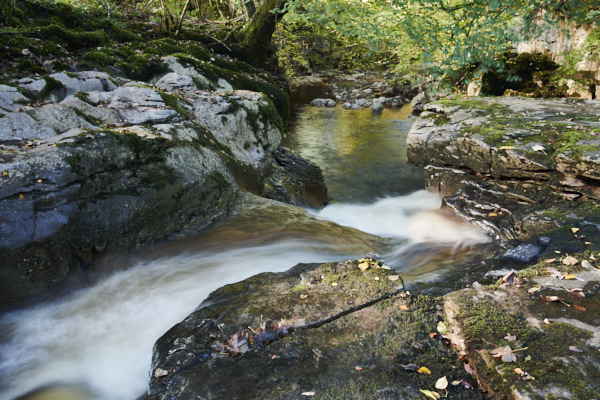 Image of Yorkshire Water