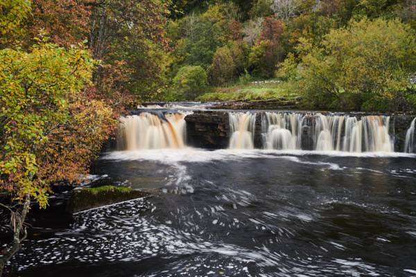 Image of Yorkshire Water