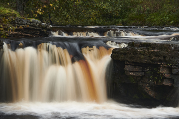 Image of Yorkshire Water