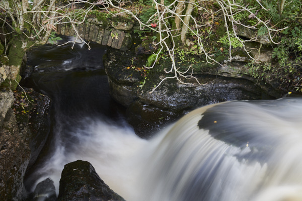 Image of Yorkshire Water