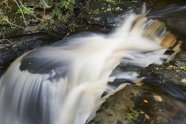 Image of Yorkshire Water