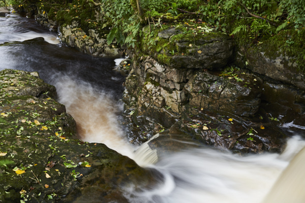 Image of Yorkshire Water