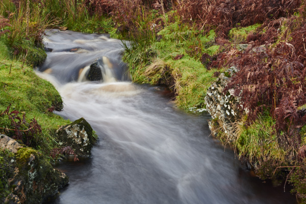 Image of Yorkshire Water