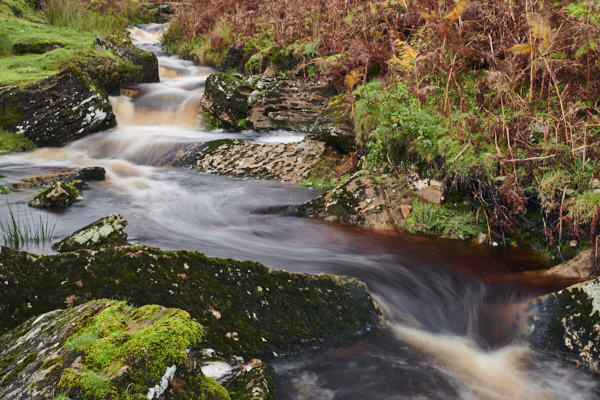 Image of Yorkshire Water