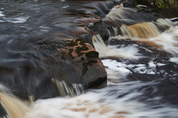 Image of Yorkshire Water