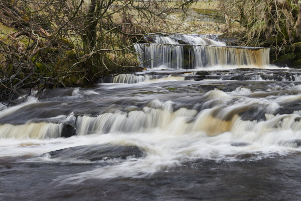 Image of Yorkshire Water