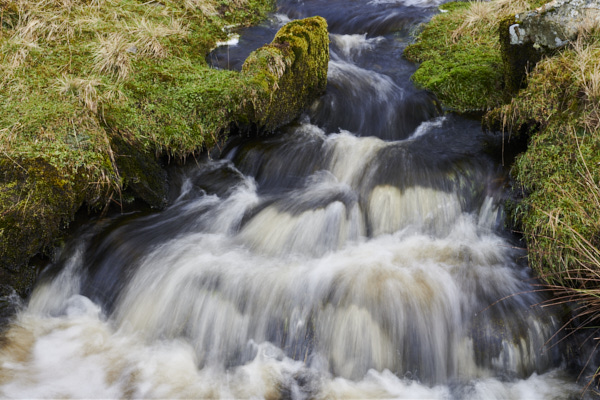 Image of Yorkshire Water