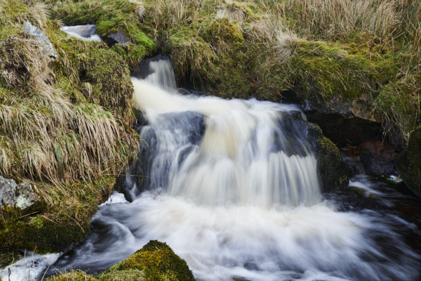 Image of Yorkshire Water