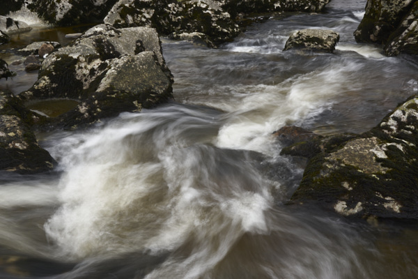 Image of Yorkshire Water