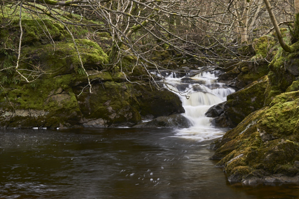 Image of Yorkshire Water