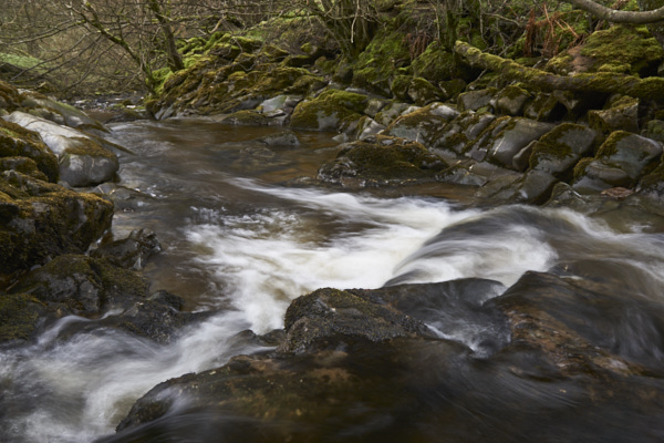 Image of Yorkshire Water