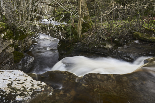 Image of Yorkshire Water